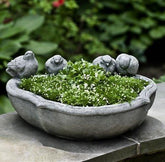 Photo of Campania Alouette Planter - Exclusively Campania